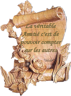 la véntable amitié c'est de pouvoir compter sur les autres